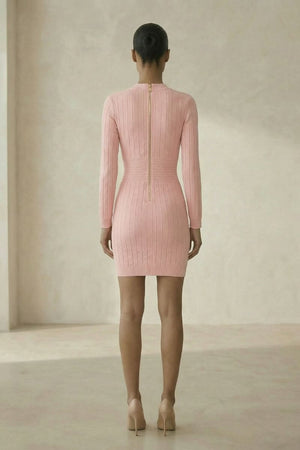 Back view of a pink ribbed knit mini dress featuring long sleeves and a gold center-back zipper, shown in a soft neutral setting.