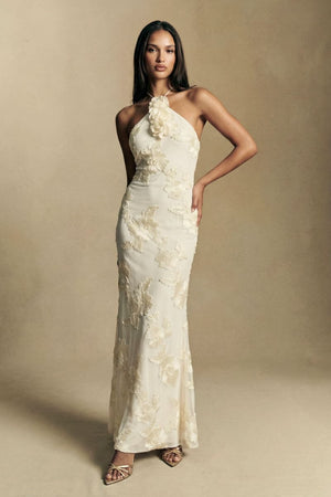 Model poses in an ivory floral appliqué halter maxi dress with a clean column shape and subtle sheen, styled simply for a refined occasion mood.