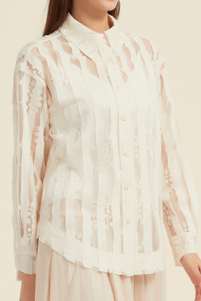 Close-up view of a cream sheer lace blouse featuring vertical embroidered stripes, button-front closure, and a delicate embroidered collar.